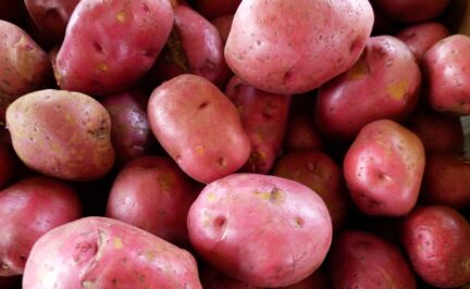 close up of red potatoes in a pile