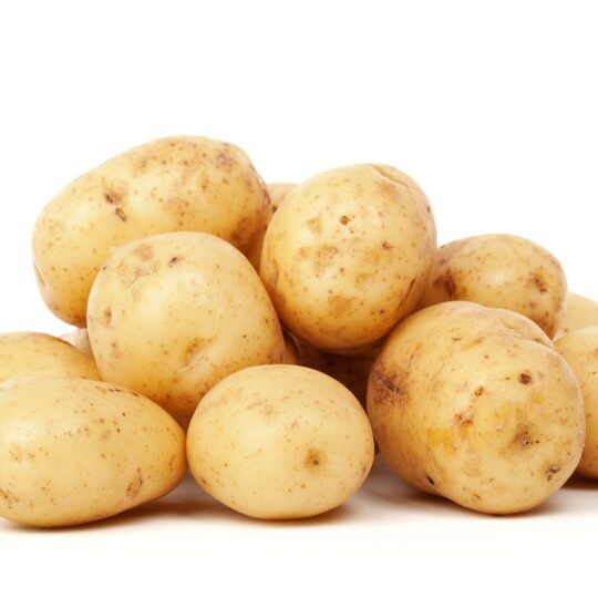 closeup of yellow potatoes with white background