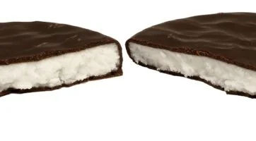 Closeup picture of a chocolate covered peppermint patty candy.