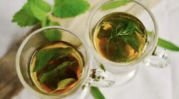leaves and plants in tea