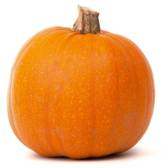closeup picture of an orange pumpkin with a white background