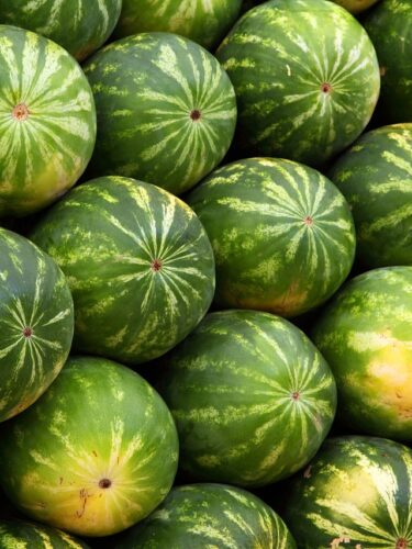 Watermelons Fruits Produce