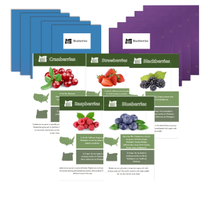 Bunches of Berries Kit