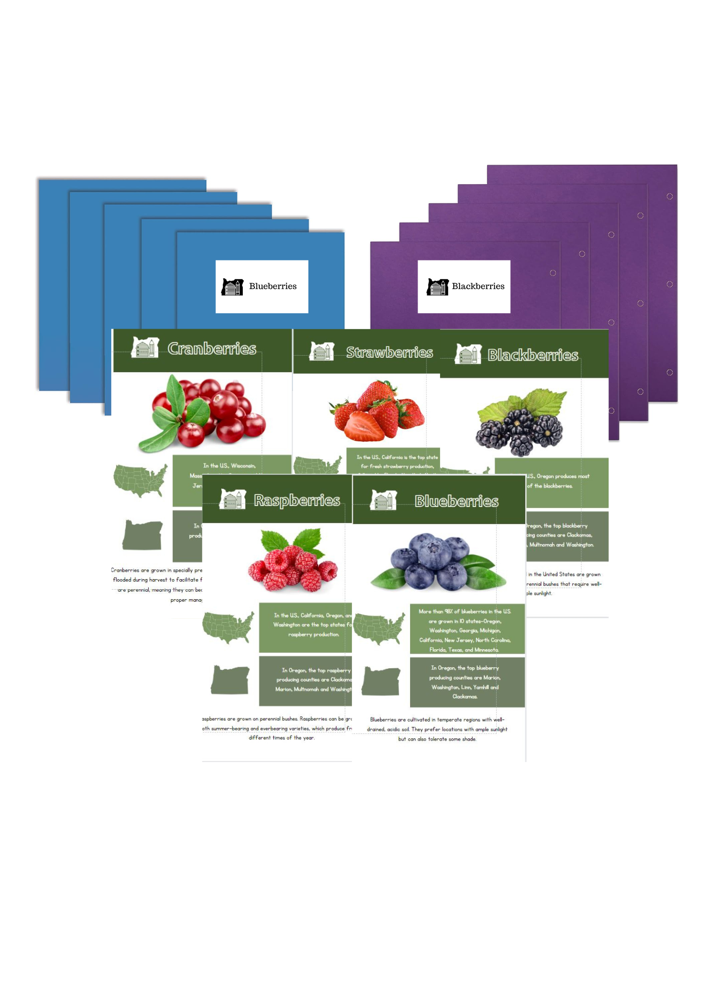 Bunches of Berries Kit