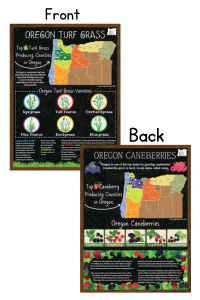 Turf Grass & Caneberries Poster