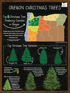 Oregon Christmas Trees Poster