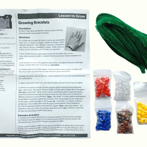 Growing Bracelets Kit