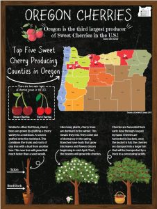 Oregon Cherries Poster