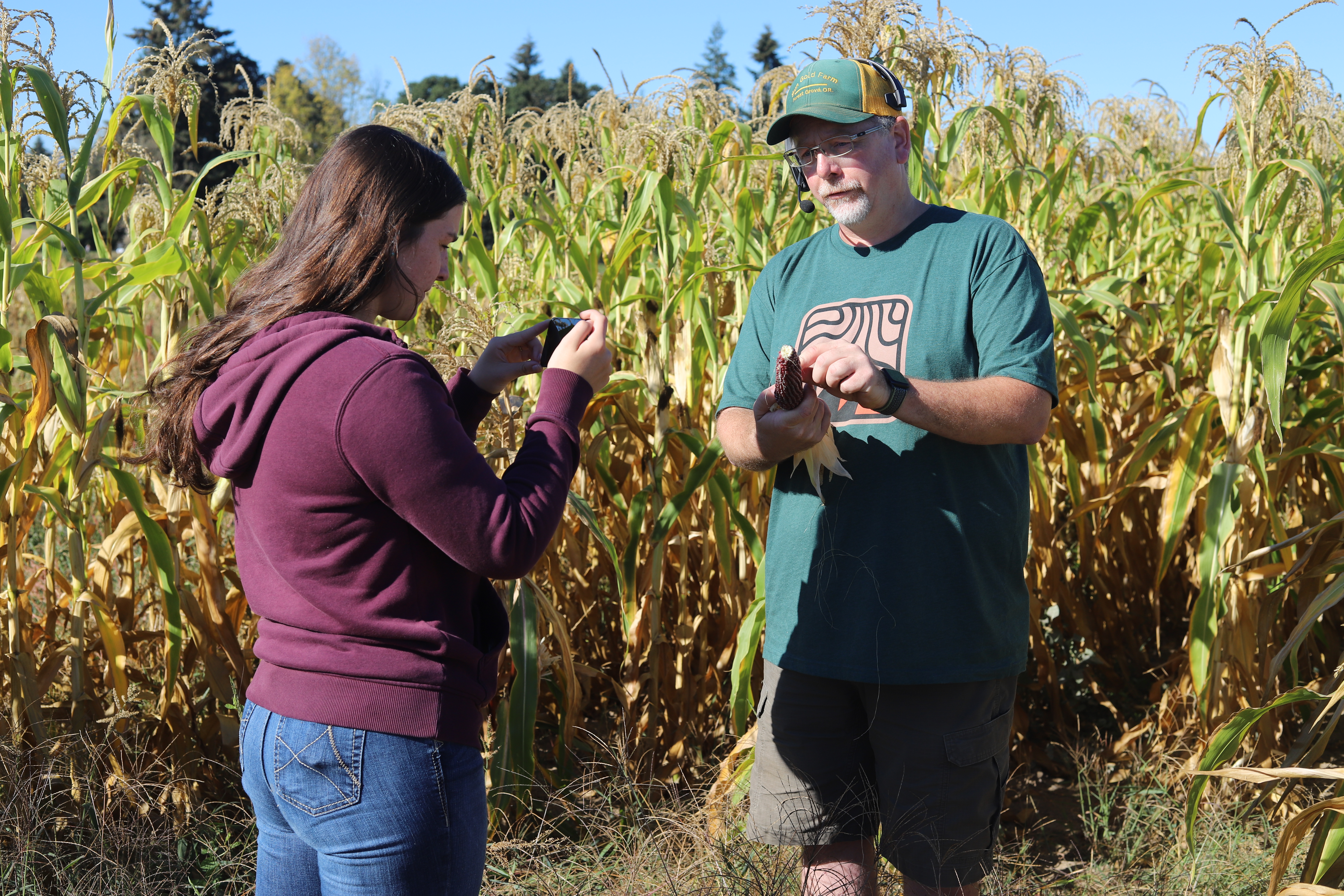 Farmer Chris explains popcorn VFT