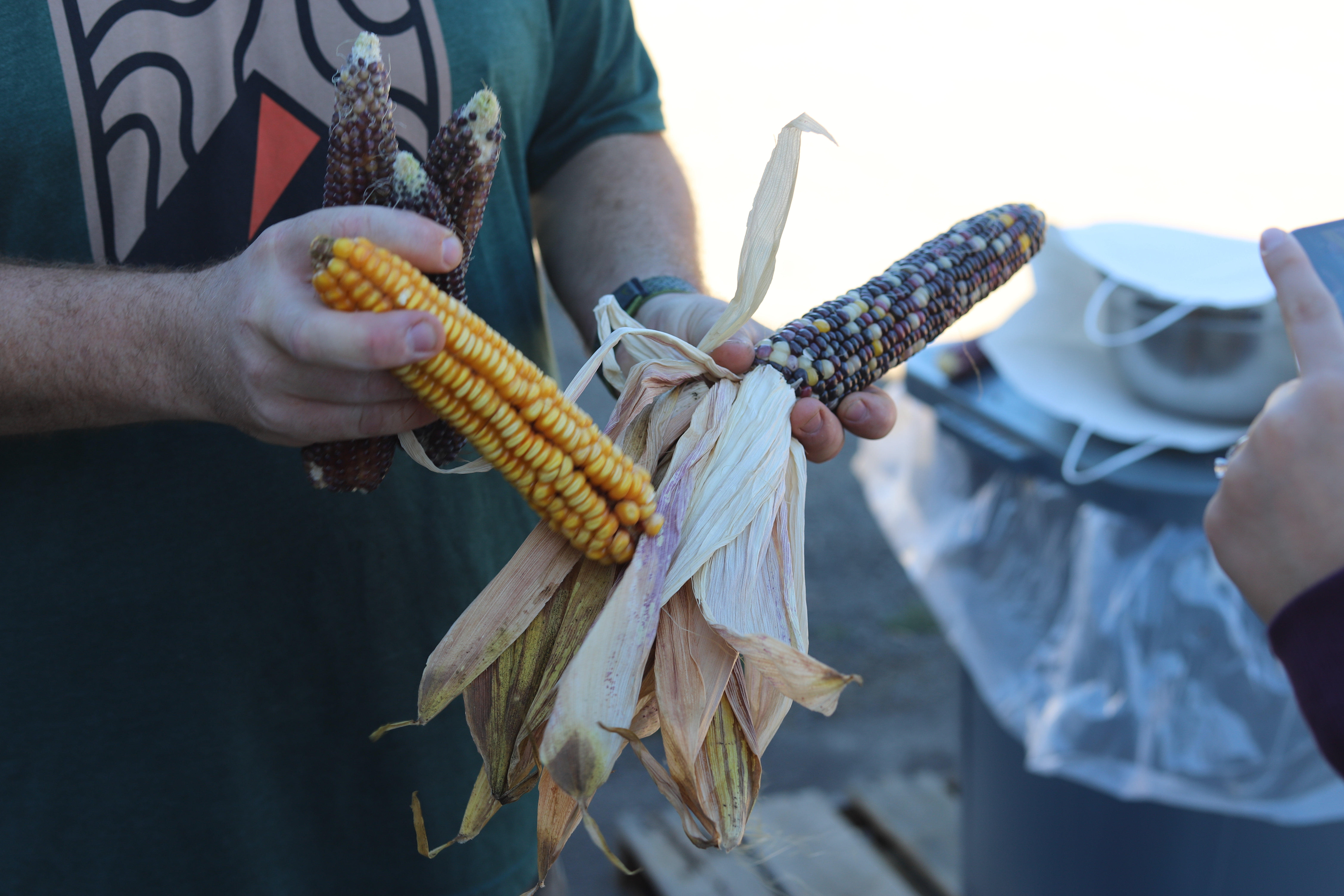 Farmer Chris explains popcorn