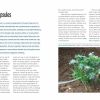 Gardening with Less Water - Image 2