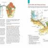 Gardening with Less Water - Image 3
