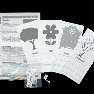 Busy Bees Kit