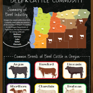 Beef & Cattle Poster