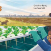 Outdoor Farm, Indoor Farm - Image 2