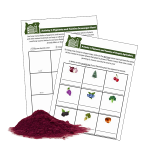 The Art of Food: Plant Pigments and Tannins