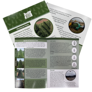 Oregon Christmas Trees