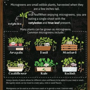 Mighty Microgreens Poster