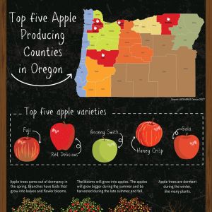 Oregon Apples Poster
