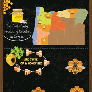 Oregon Honey Bees Poster
