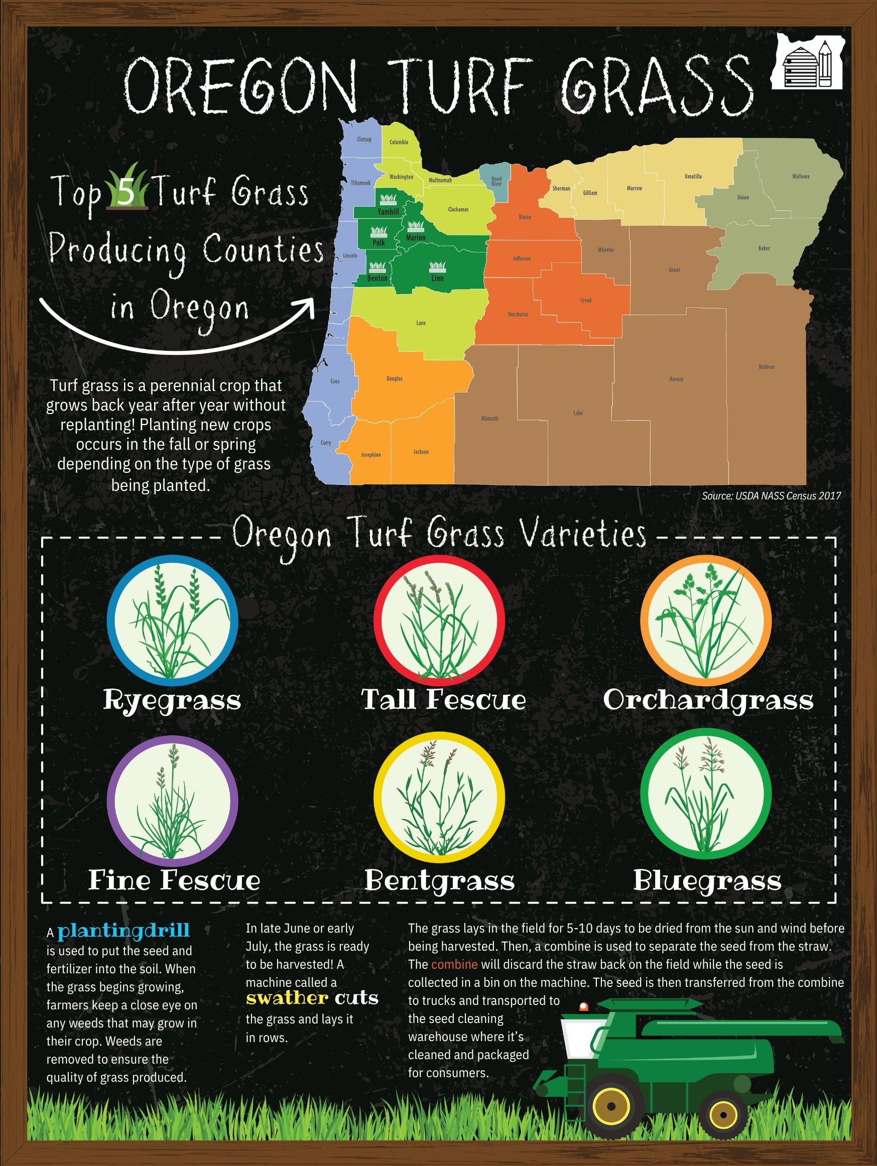 Oregon Turf Grass Poster