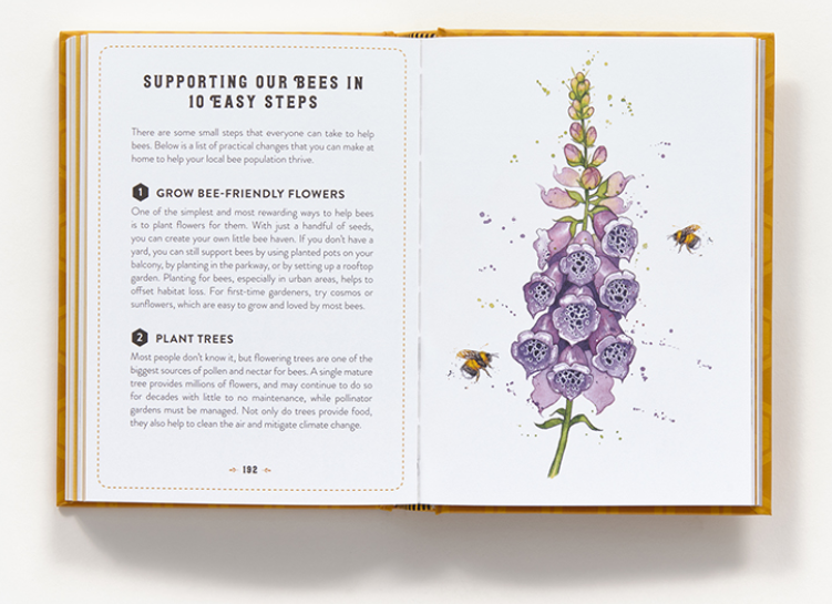 The Little Book of Bees - Image 2