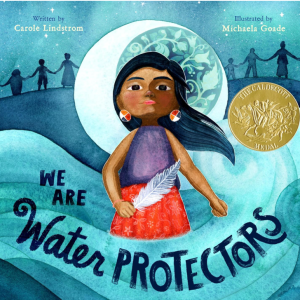 We Are Water Protectors book