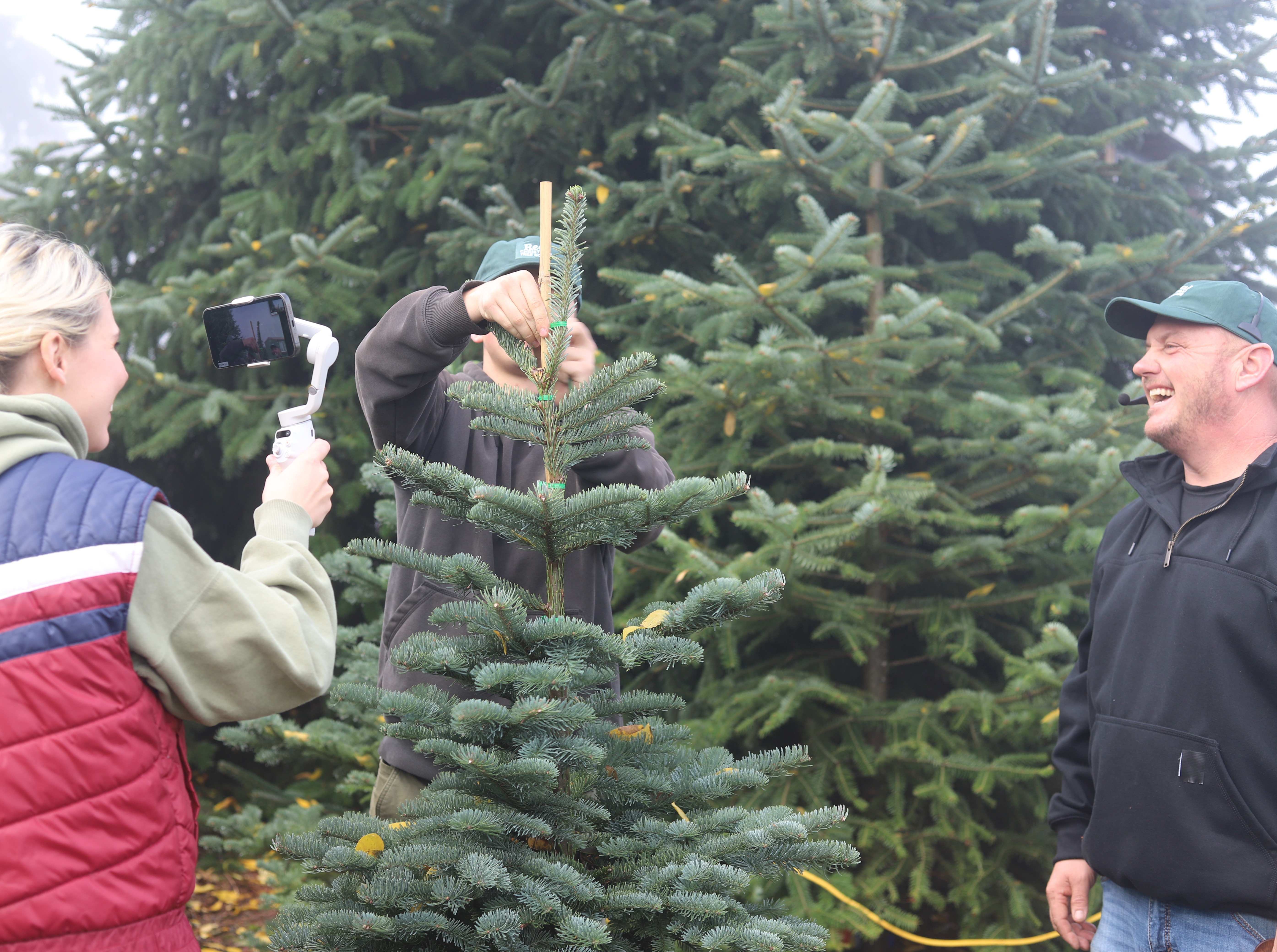 Three people share a laugh while learning about christmas trees